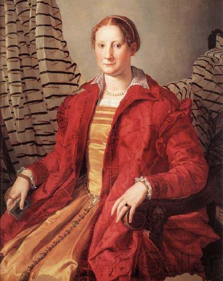 Agnolo Bronzino Portrait of a Lady France oil painting art